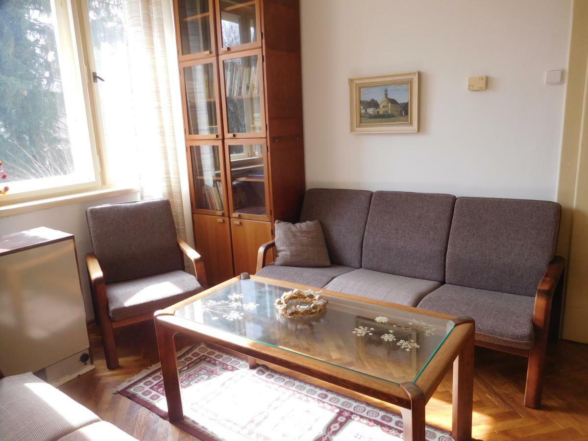 Hradiska Apartment Jablonné nad Orlicí Bagian luar foto